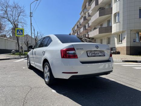 Škoda Octavia 2019